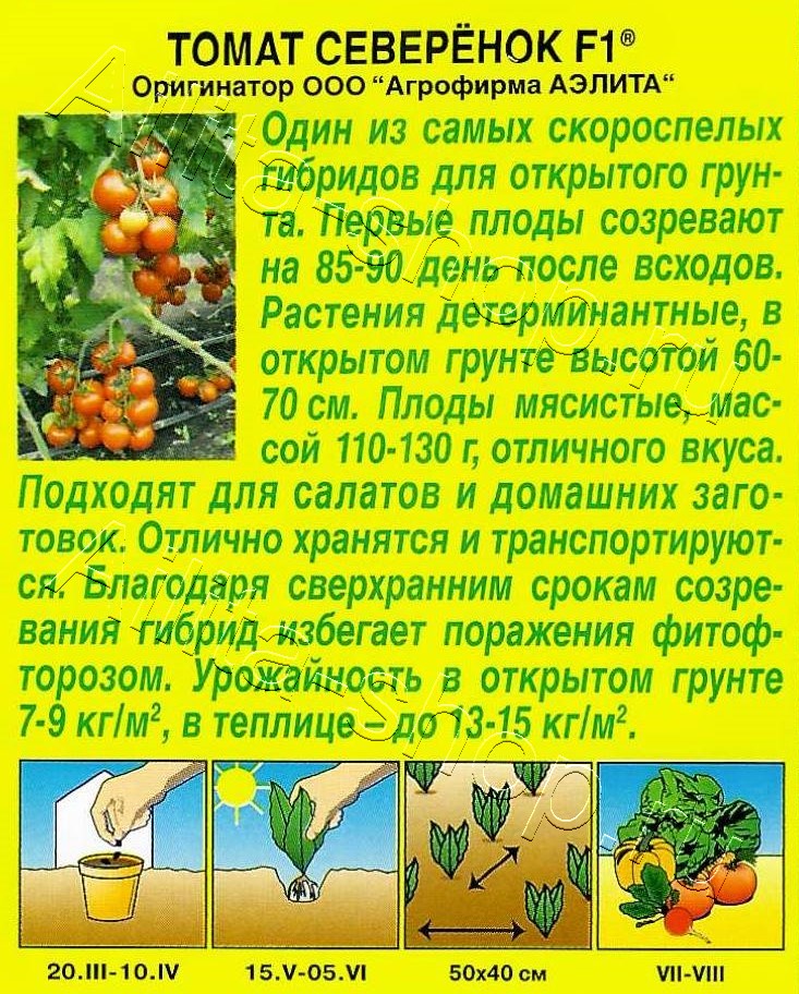 Томат Северенок F1 20шт