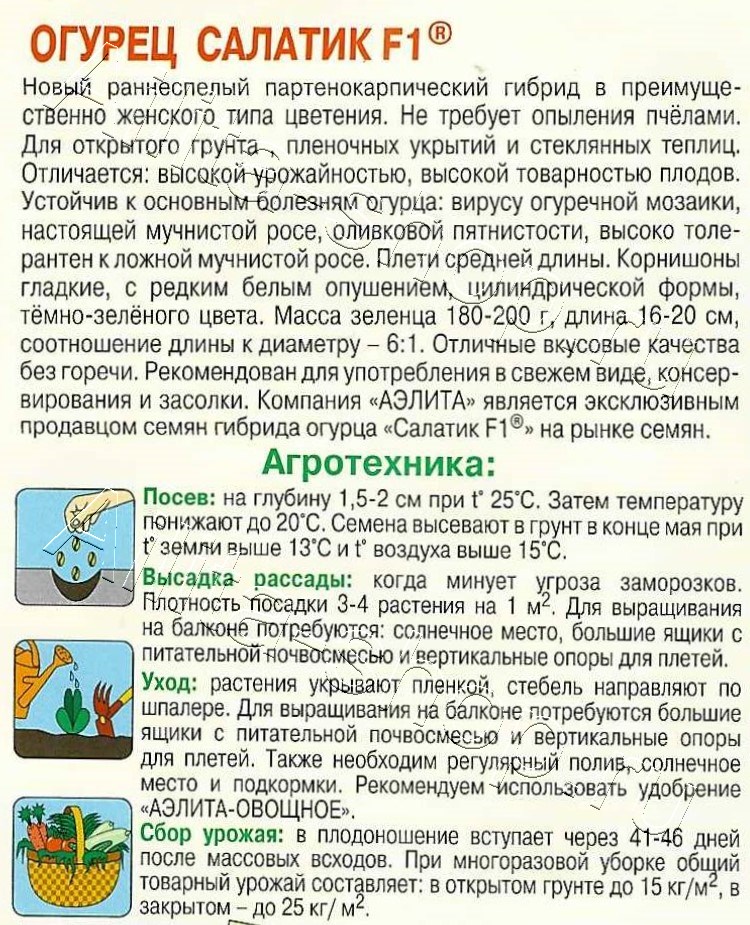 Огурец Салатик F1 10шт