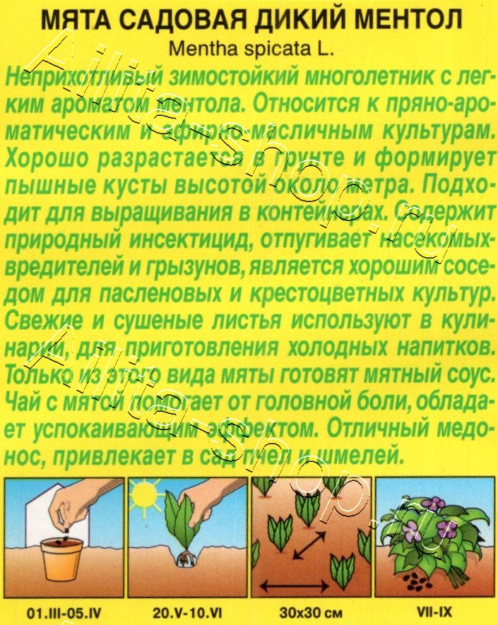 Мята садовая Дикий ментол 0,05г