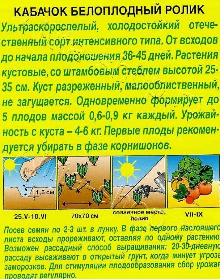 Кабачок белоплодный Ролик 2г