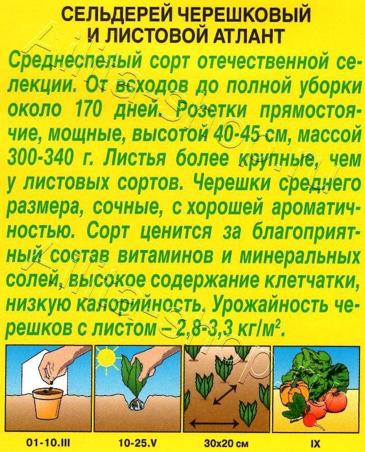 Сельдерей черешковый Атлант 0,5г