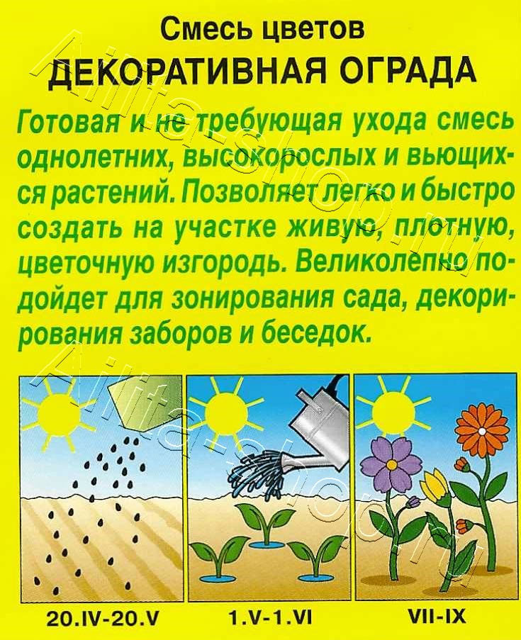 Смесь цветов Декоративная ограда 2г