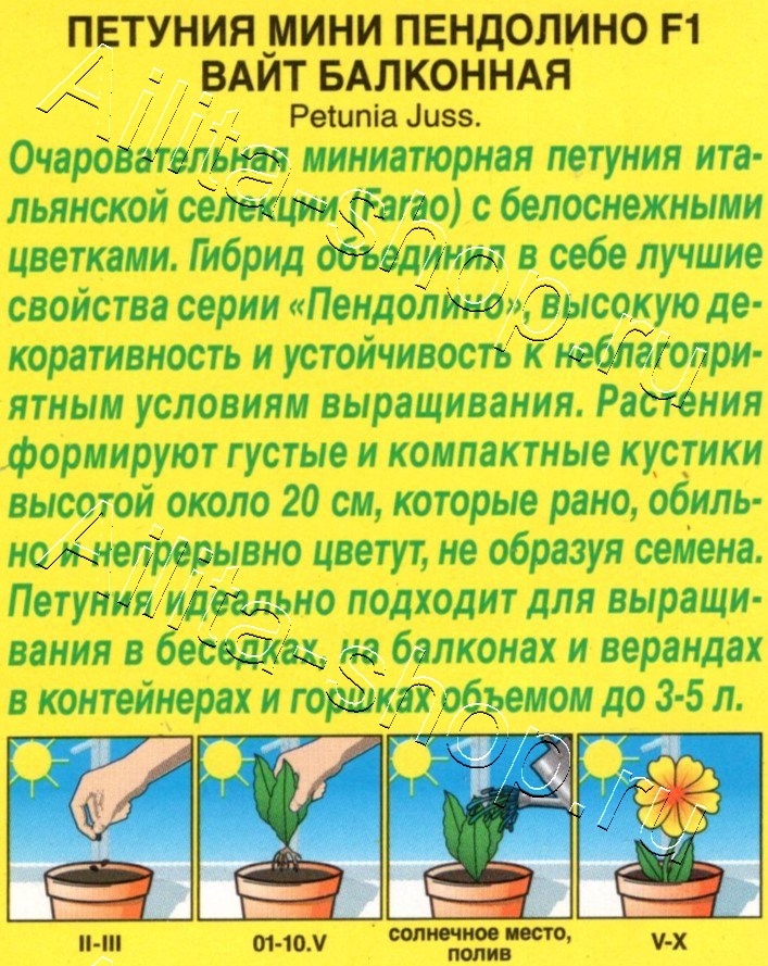 Петуния мини Пендолино F1 вайт балконная 5шт