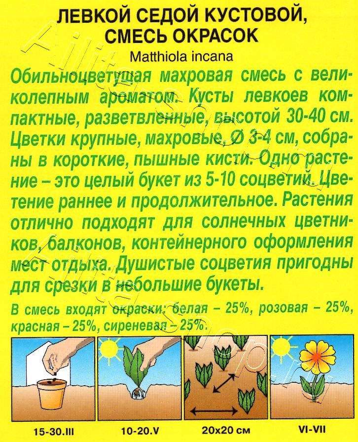 Левкой Кустовой, смесь окрасок 0,1г