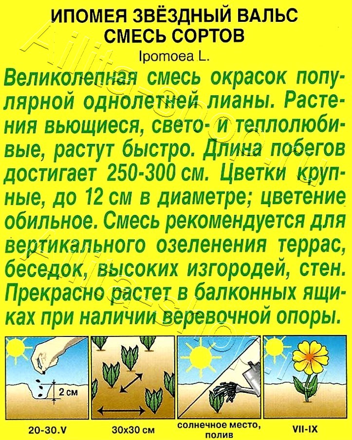 Ипомея Звездный вальс, смесь окрасок 0,5г