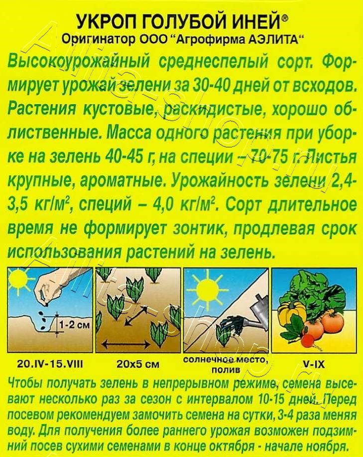 Укроп Голубой иней 3г