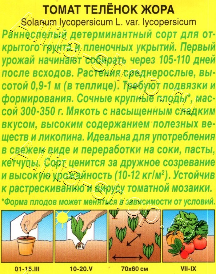 Томат Теленок Жора 20шт