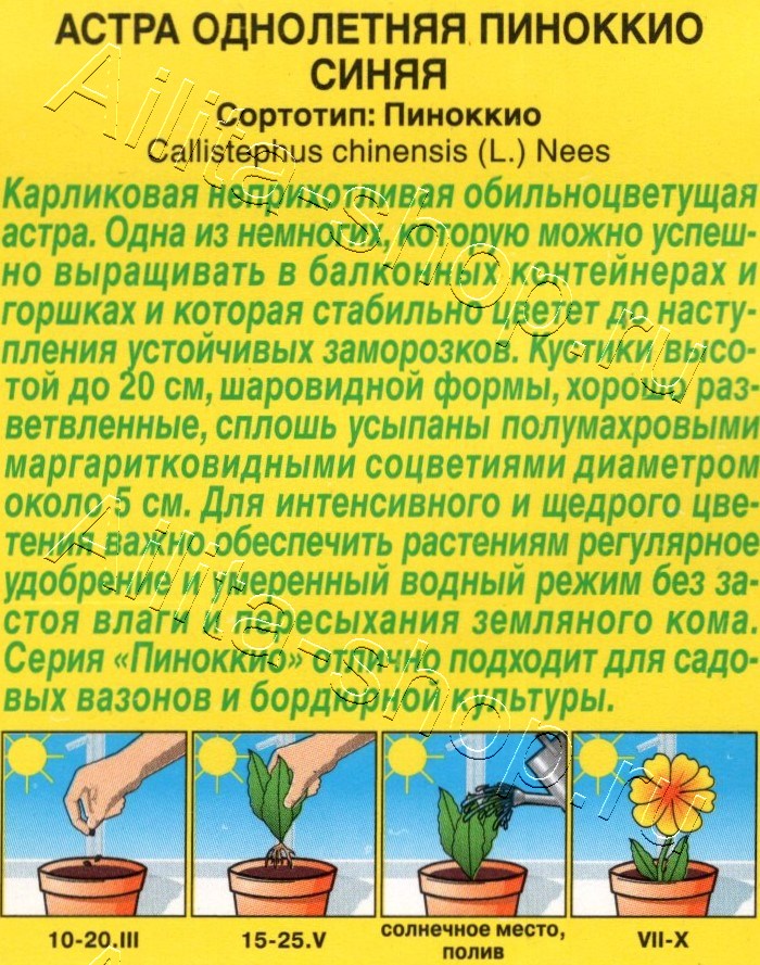 Астра Пиноккио синяя 0,05г