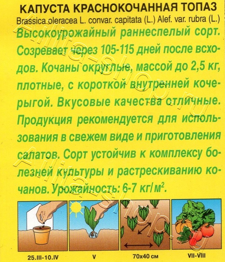 Капуста к/к Топаз 0,2г