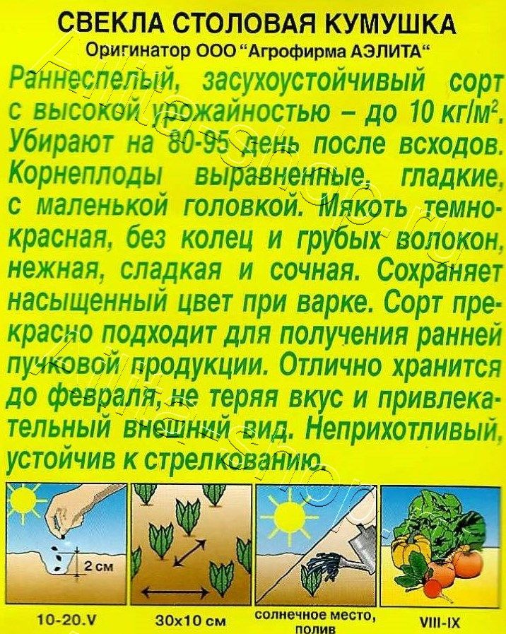 Свекла столовая Кумушка 3г