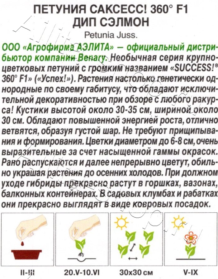 Петуния САКСЕСС! 360° F1 Дип Сэлмон 7шт