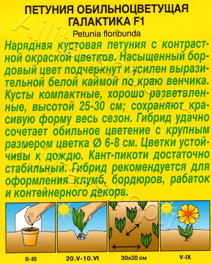 Петуния Галактика F1 обильноцветущая 7шт