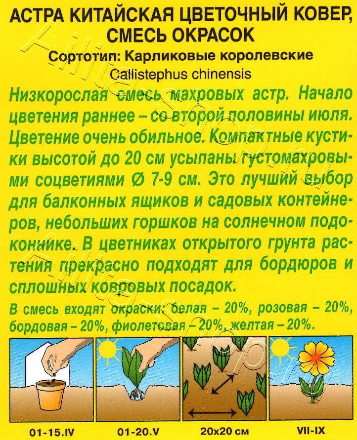 Астра Цветочный ковер, смесь окрасок 0,2г