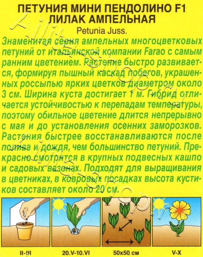 Петуния мини Пендолино F1 лилак ампельная 5шт