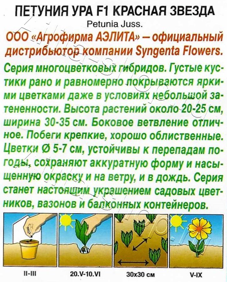 Петуния Ура F1 красная звезда 7шт