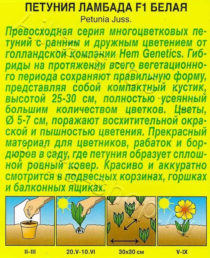 Петуния Ламбада F1 белая многоцветковая 7шт