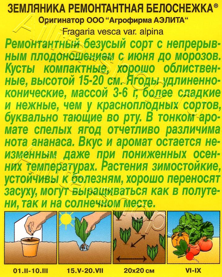 Земляника Белоснежка 0,03г