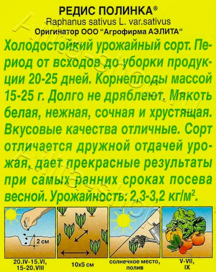 Редис Полинка 2г