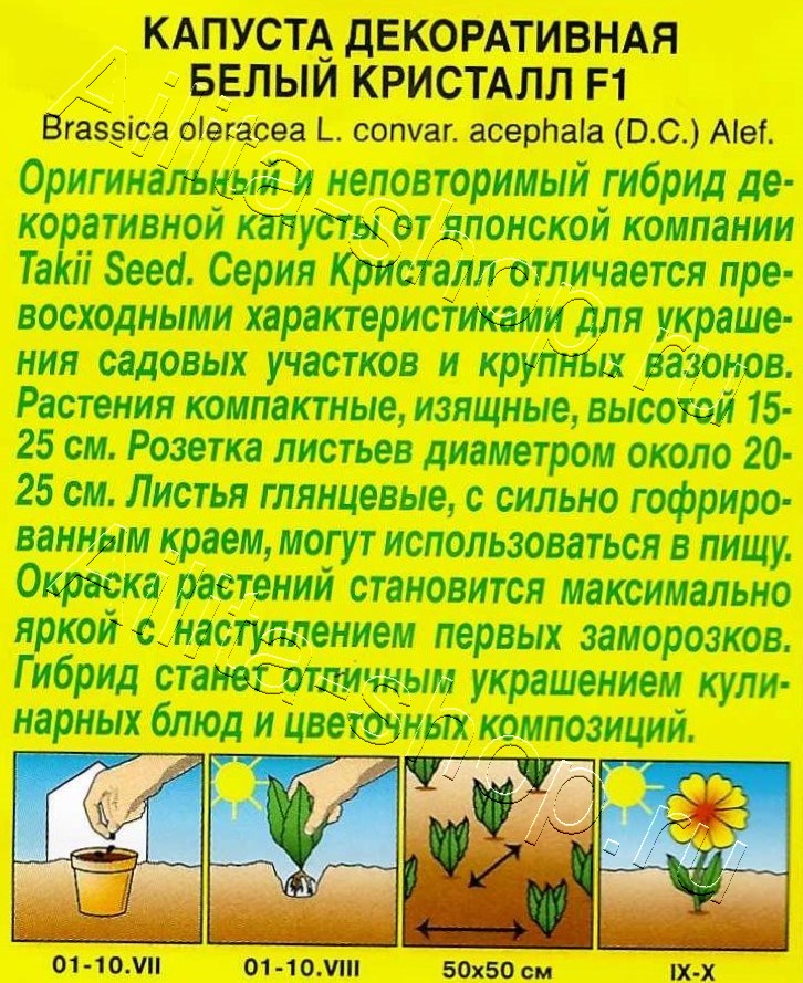 Капуста декоративная Белый кристалл F1 5шт