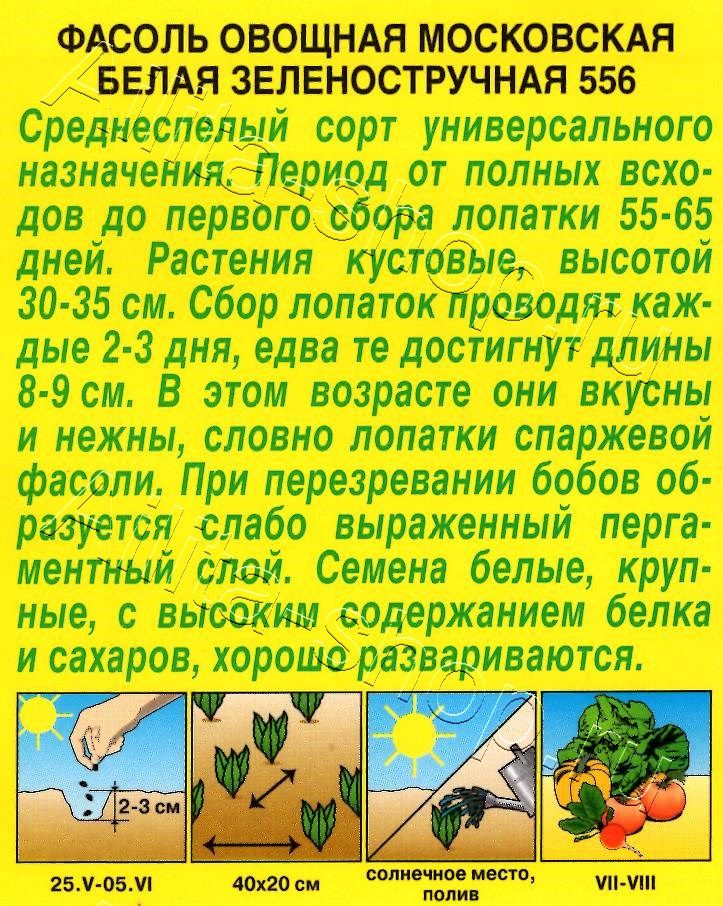 Фасоль овощная Московская белая зеленостручная 556 5г