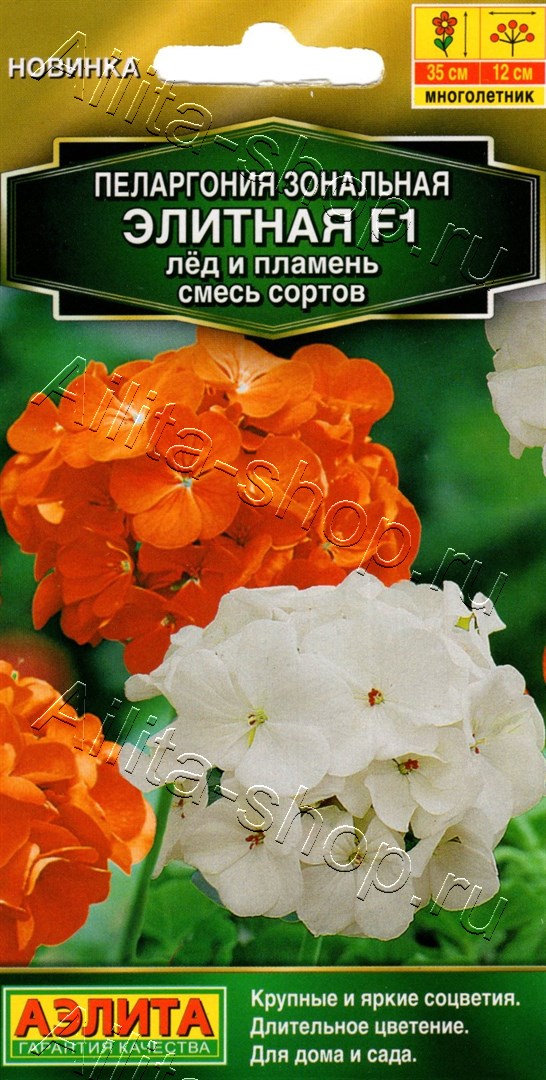 Пеларгония Элитная F1 лёд и пламень, смесь сортов 5шт