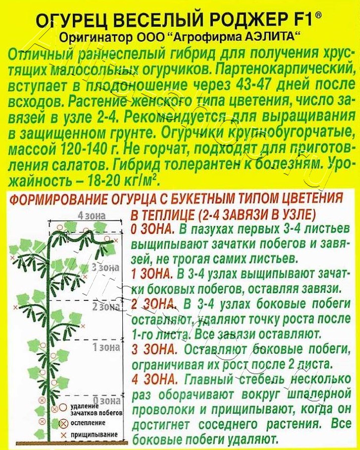 Огурец Веселый Роджер F1 10шт