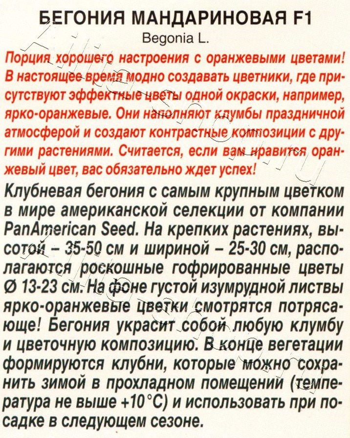 Бегония Мандариновая F1 5шт