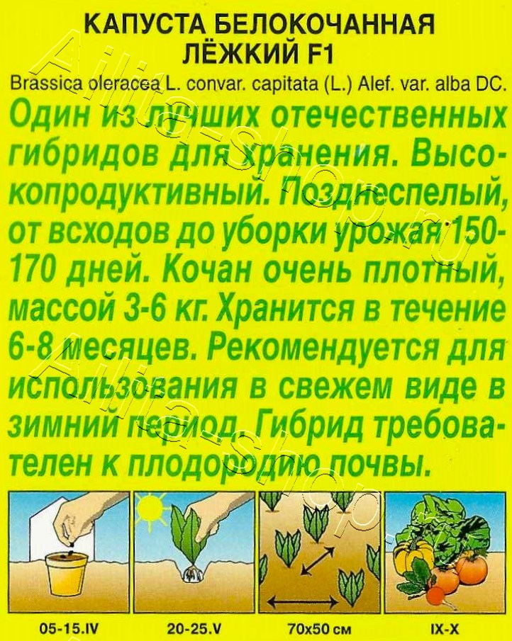 Капуста белокочанная Лежкий F1 15шт