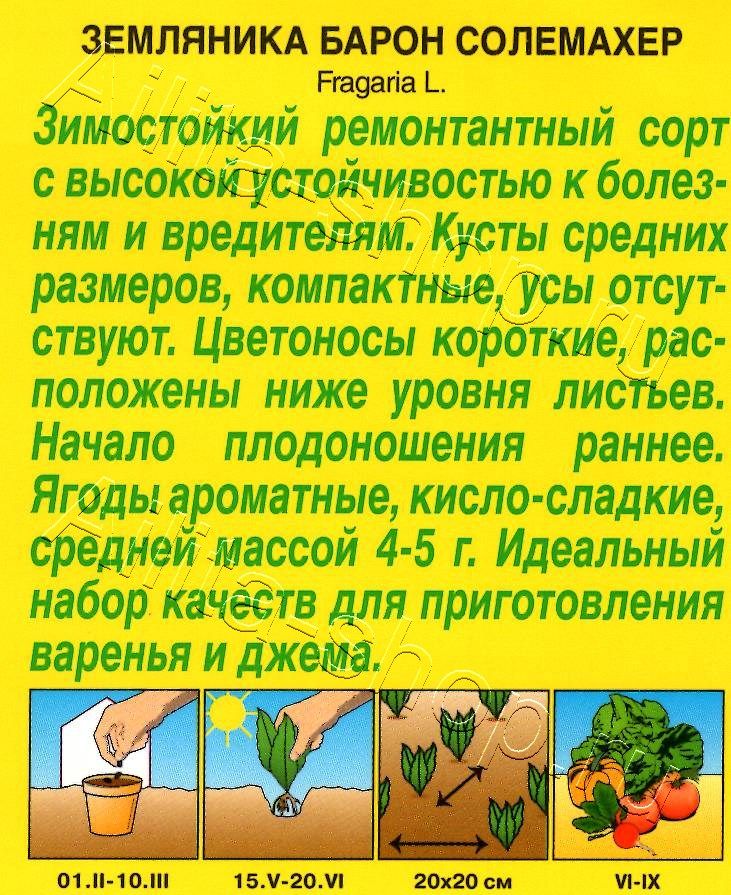 Земляника ремонтантная Барон Солемахер 0,04г