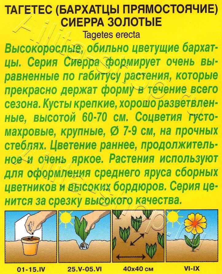 Бархатцы Сиерра золотые 0,3г