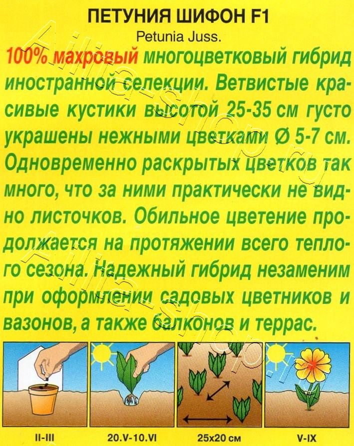 Петуния Шифон F1 обильноцветущая 5шт