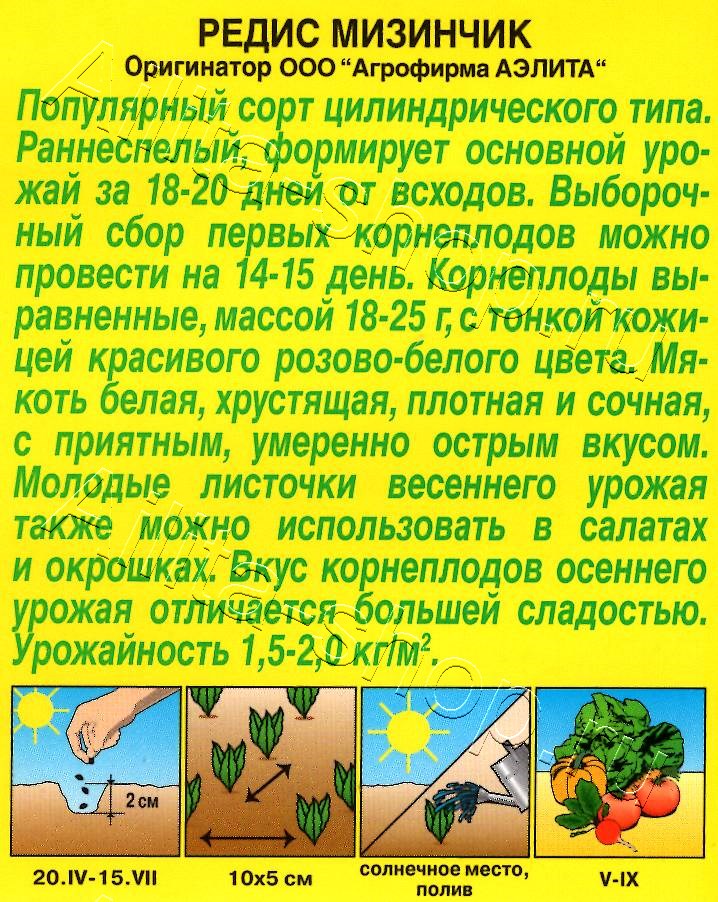 Редис Мизинчик 2г