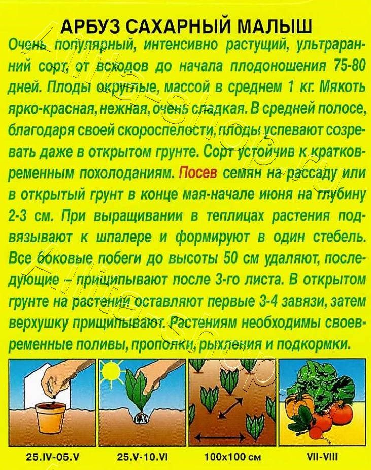 Арбуз Сахарный малыш 1г