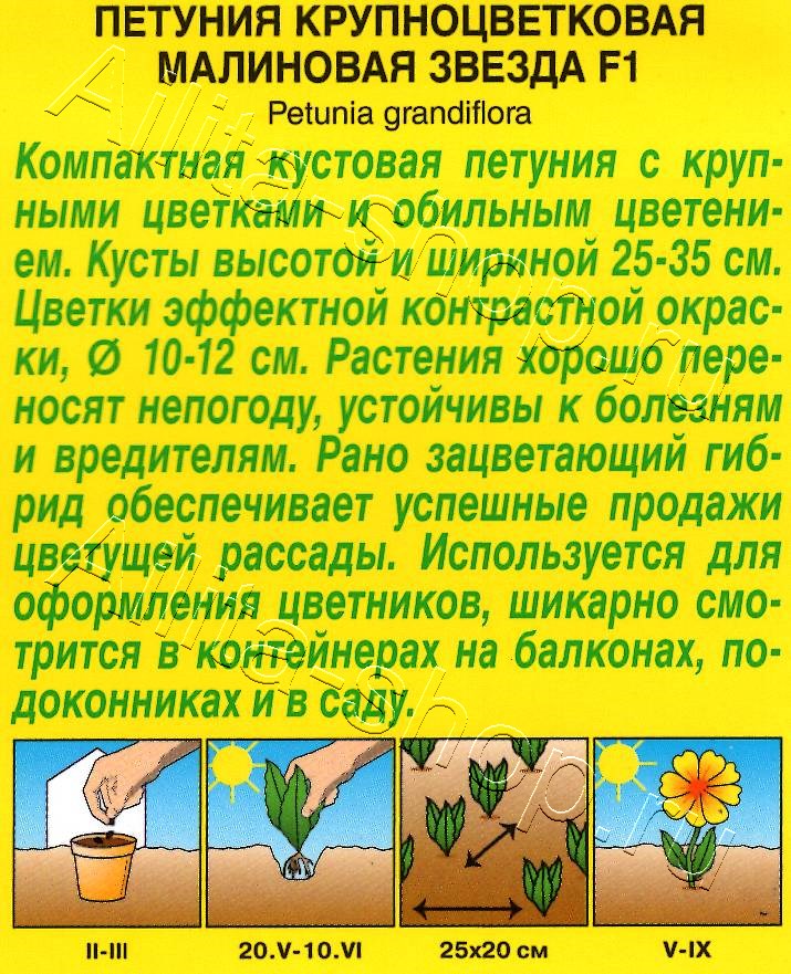 Петуния Малиновая звезда F1 крупноцветковая 7шт