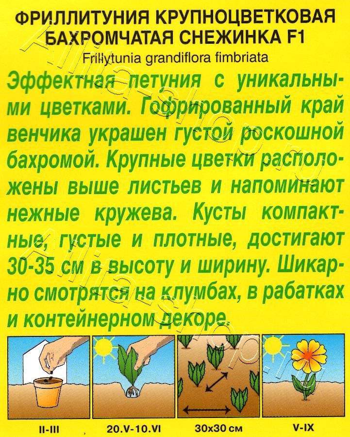 Фриллитуния Снежинка F1 крупноцветковая бахромчатая 10шт