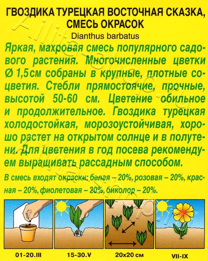 Гвоздика Восточная сказка турецкая махровая, смесь сортов 0,1г