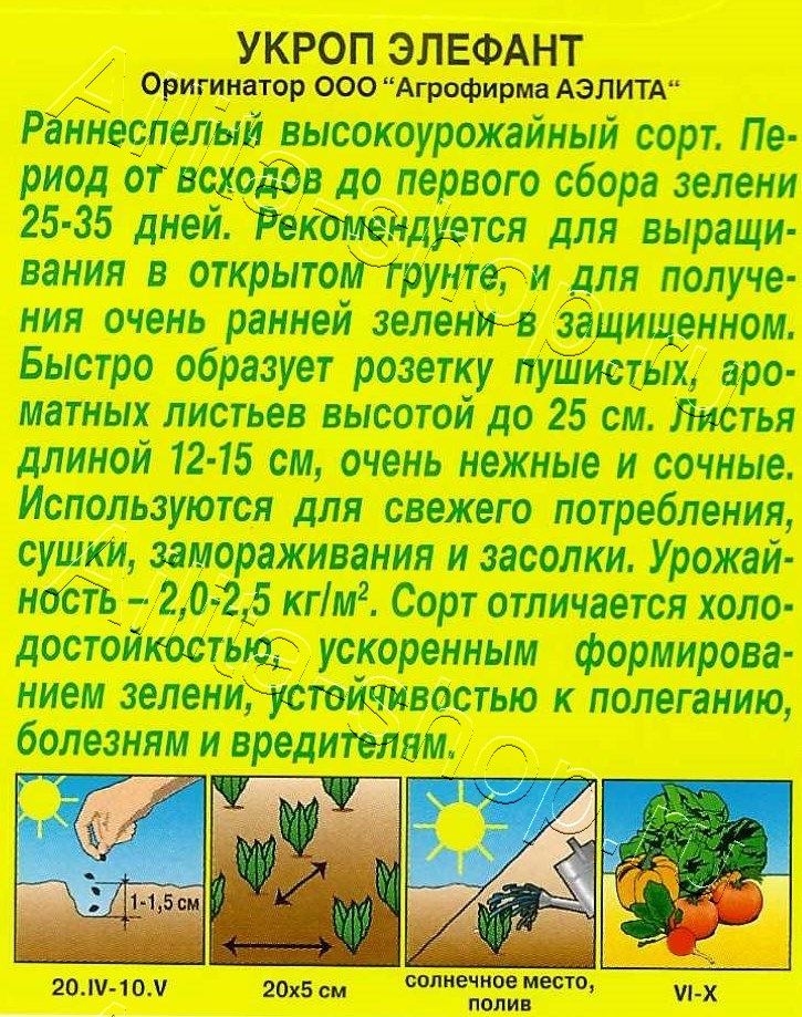 Укроп Элефант 3г