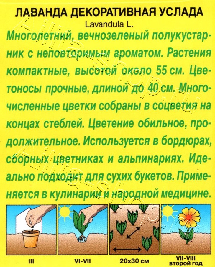 Лаванда декоративная Услада 0,1г