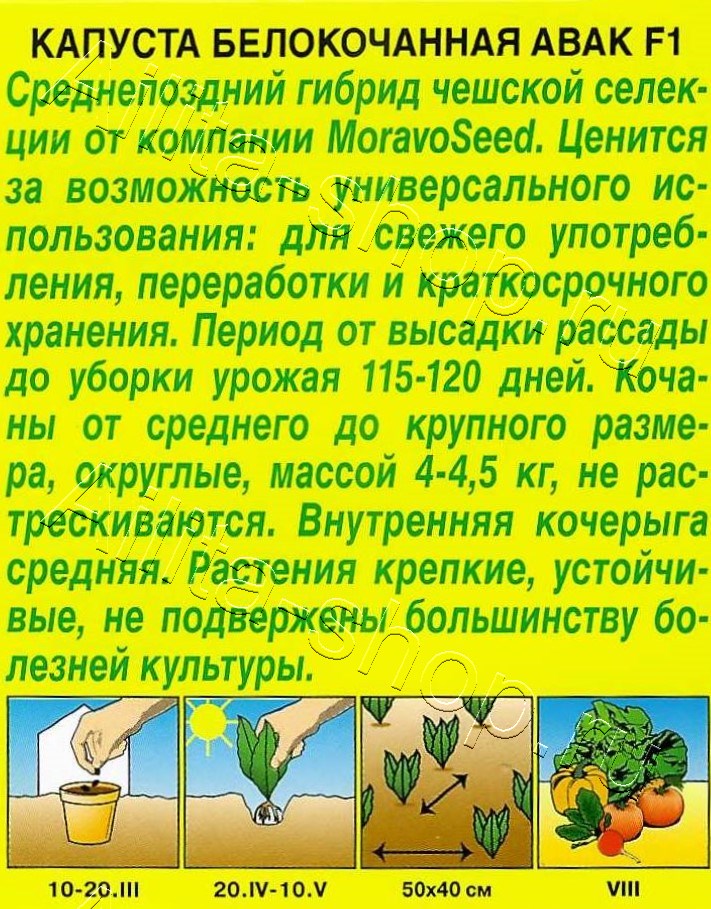 Капуста белокочанная Авак F1 0,1г
