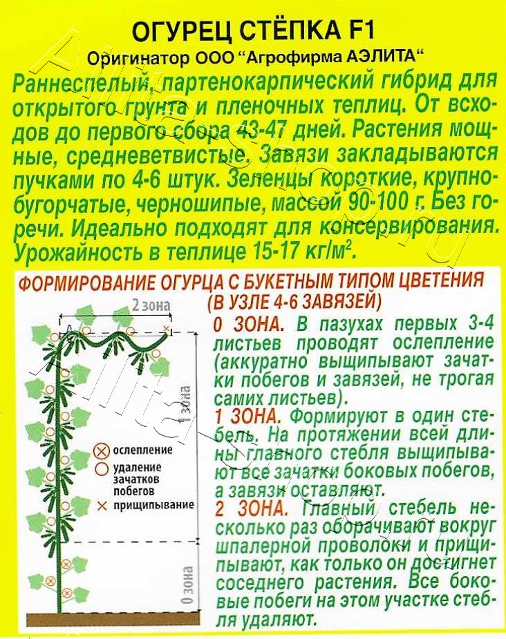 Огурец Степка F1 10шт
