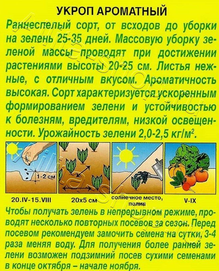 Укроп Ароматный 2г