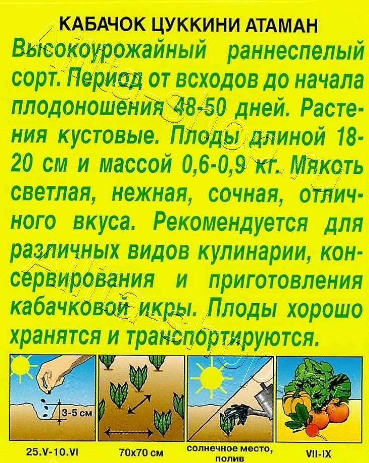 Кабачок цуккини Атаман 1г