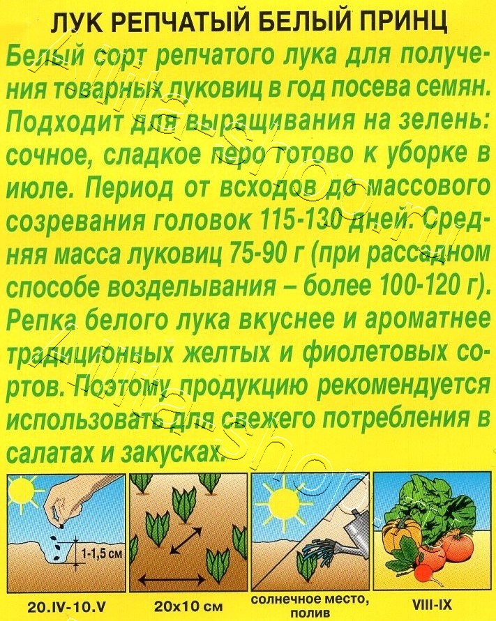 Лук репчатый Белый принц 0,5г