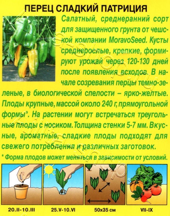 Перец сладкий Патриция 20шт