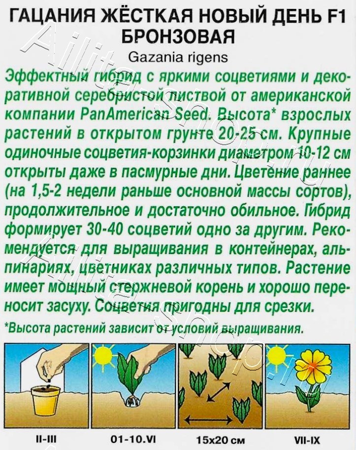 Гацания Новый день F1 бронзовая 4шт