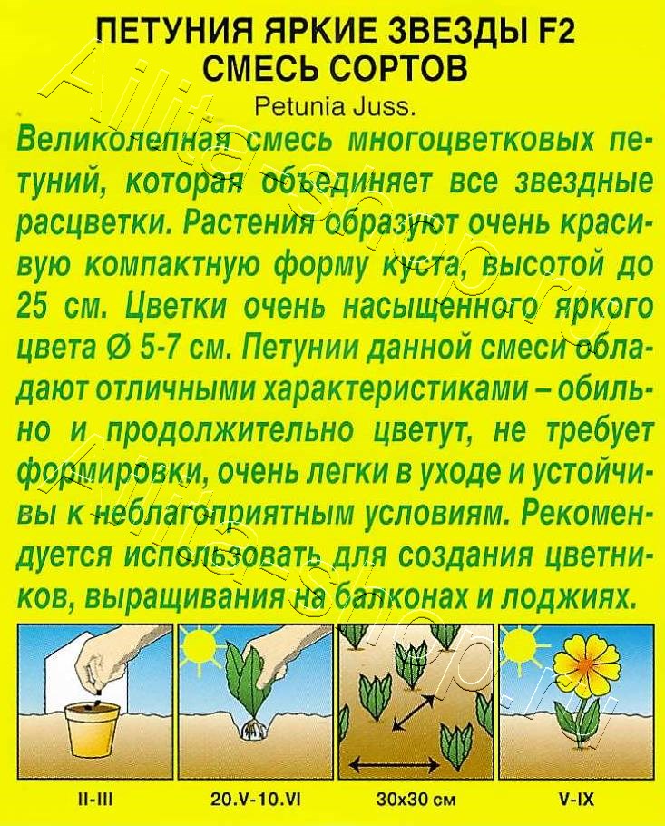Петуния Яркие звезды F2 многоцветковая, смесь сортов 0,02г