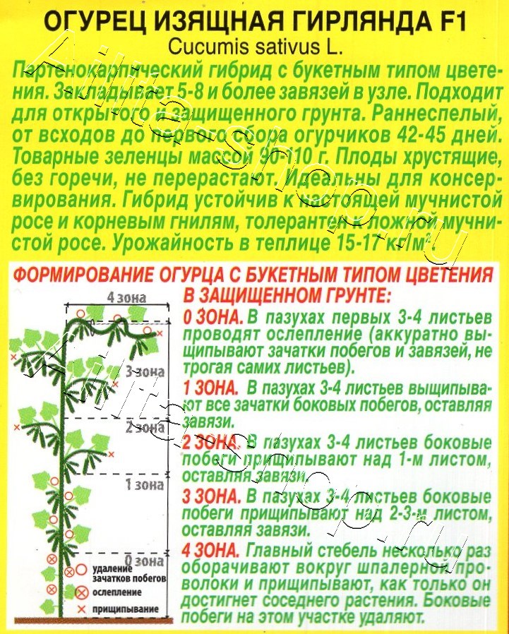 Огурец Изящная гирлянда F1 10шт
