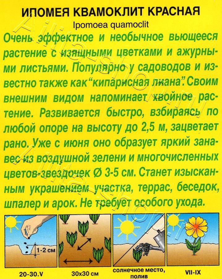 Ипомея Квамоклит красная 0,5г