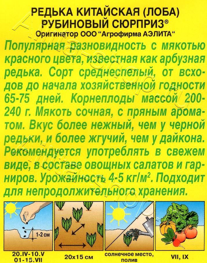 Редька китайская Рубиновый сюрприз 1г