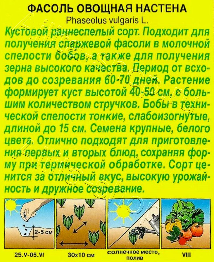 Фасоль овощная Настена 5г